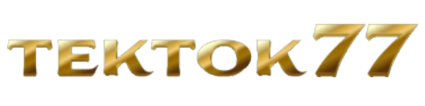 saga338.top